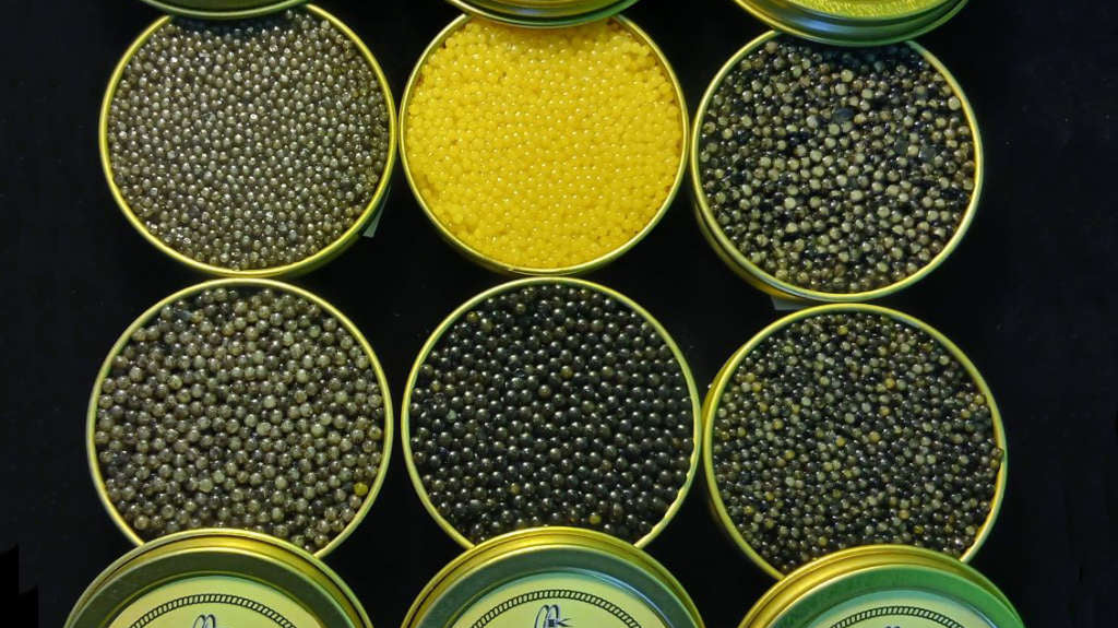Why buy from the New Zealand Caviar House