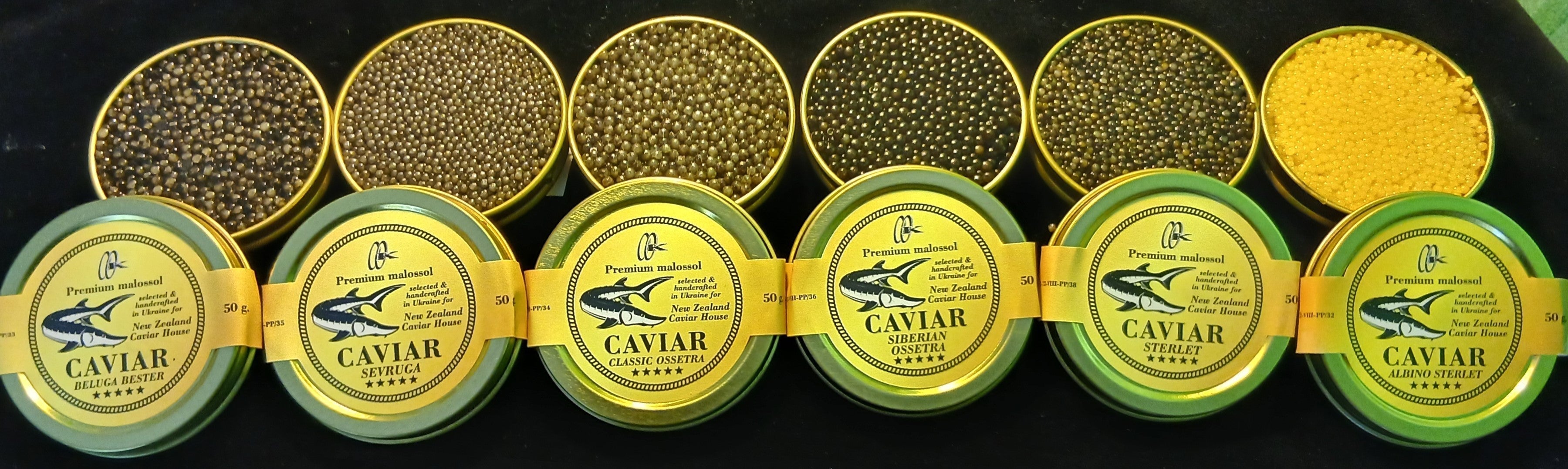 premium sturgeon caviar imported from Ukraine and available in New Zealand
